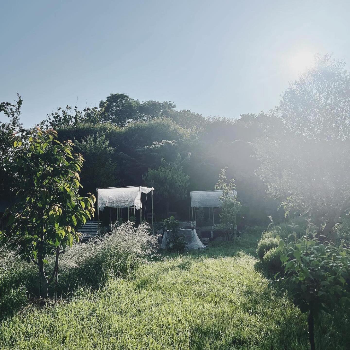 Gite - La Clochette Lugon et l’Ile du Carney Exterior foto